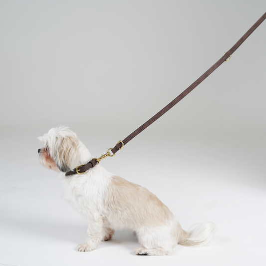 Hundesnor Grace | Espresso