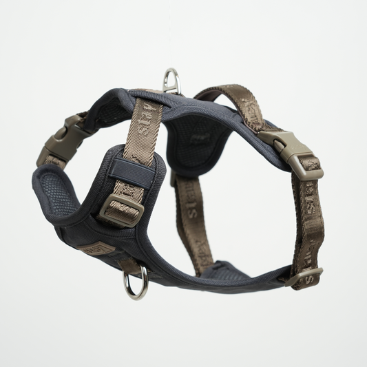 Elma Active Hundesele | Storm