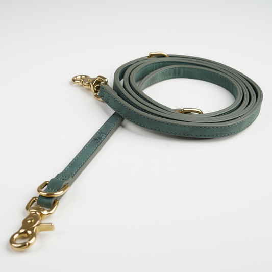 Hundesnor Grace | Moss Green