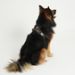 Elma Active Hundesele | Storm