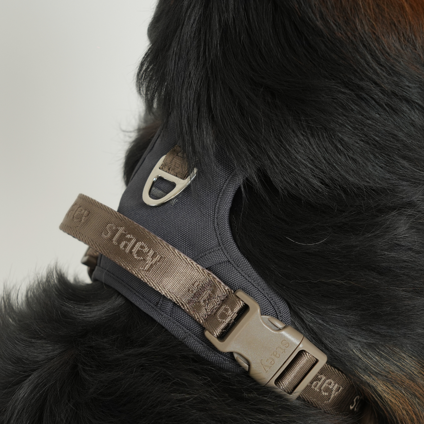 Elma Active Hundesele | Storm