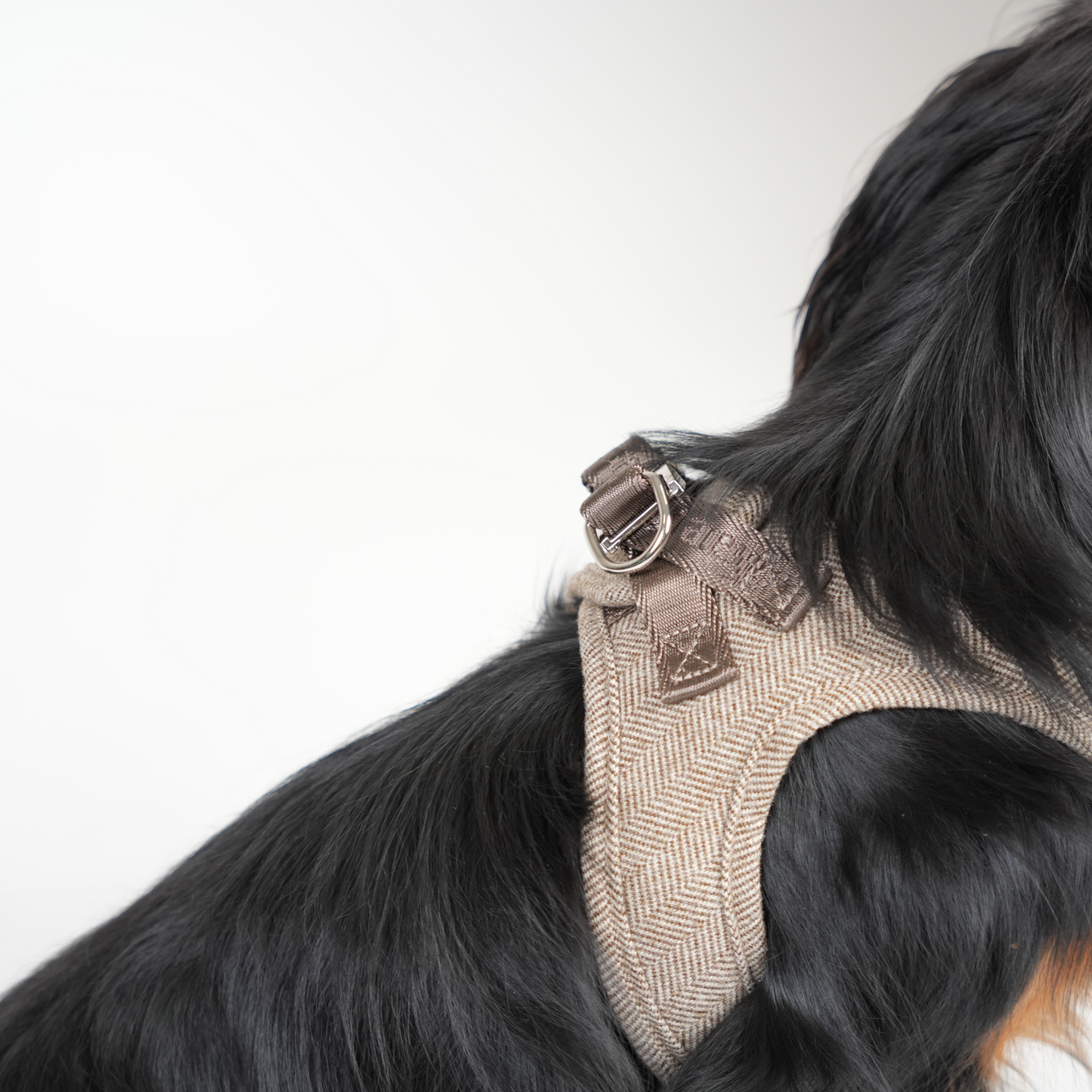 Saga Step-In Hundesele | Mocca