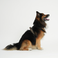 Elma Active Hundesele | Storm