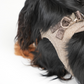 Saga Step-In Hundesele | Mocca