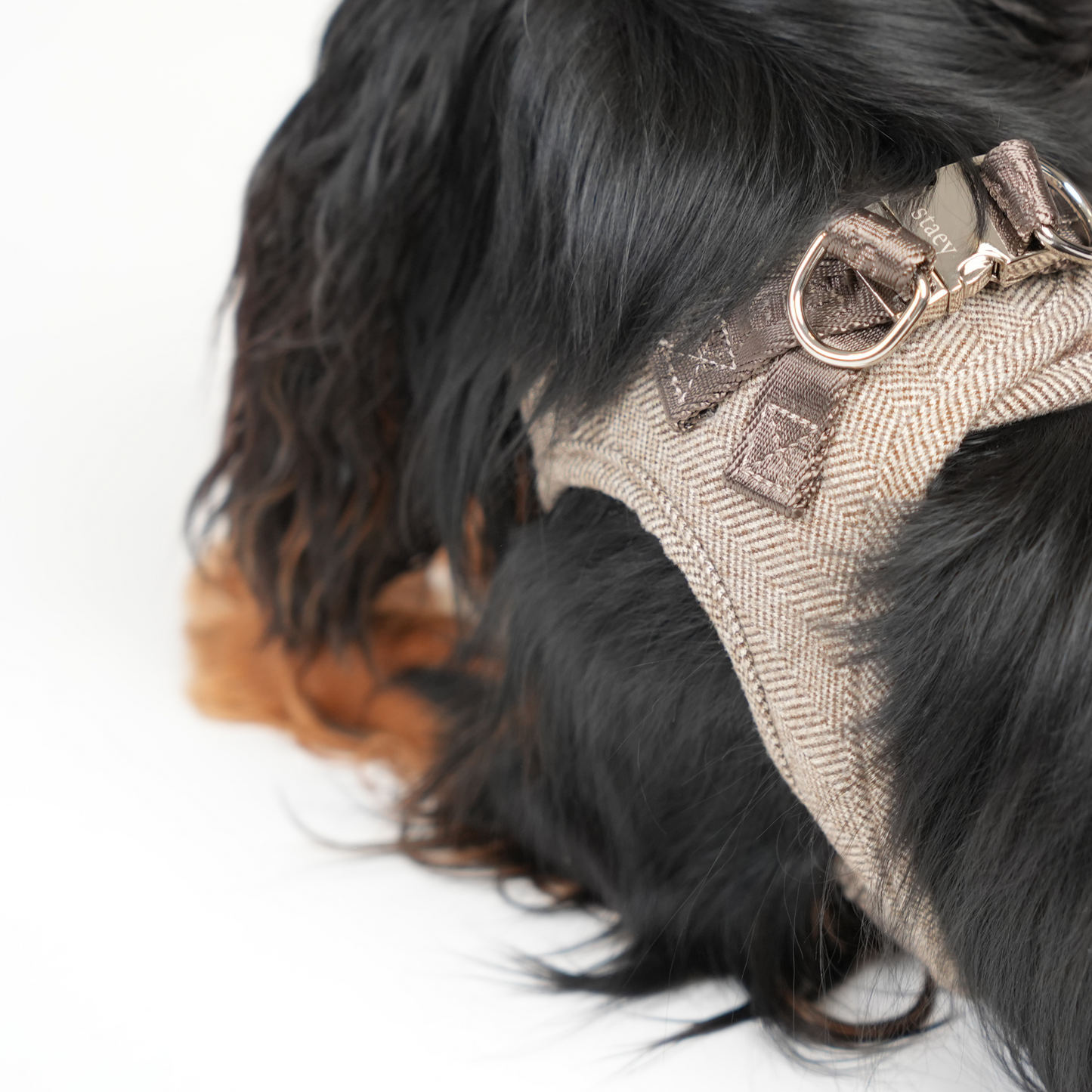 Saga Step-In Hundesele | Mocca