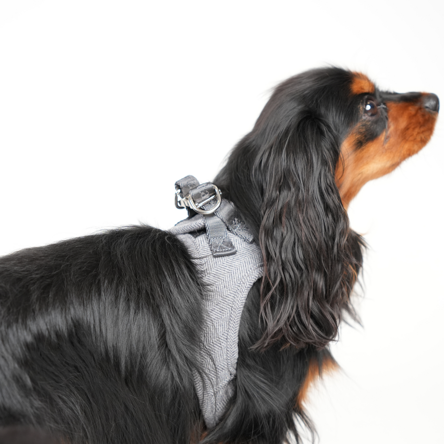 Saga Step-In Hundesele | Dusty Blue