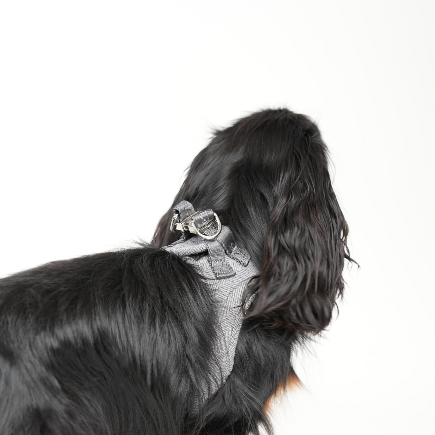 Saga Step-In Hundesele | Dusty Blue