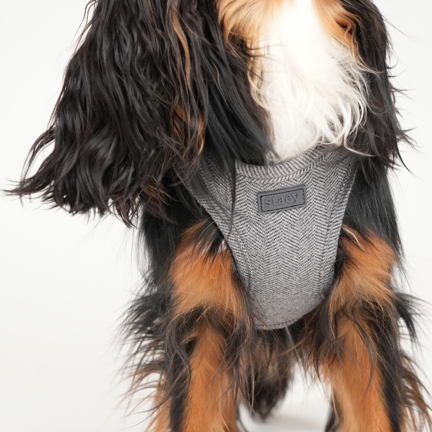 Saga Step-In Hundesele | Dusty Blue