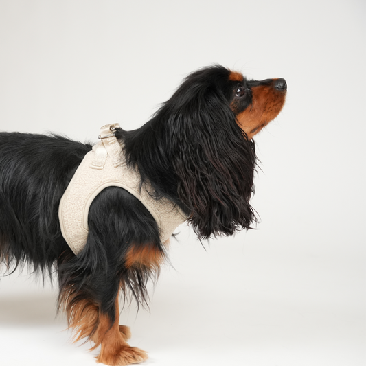 Teddy Step-In Hundesele | Natur