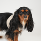 Teddy Step-In Hundesele | Natur