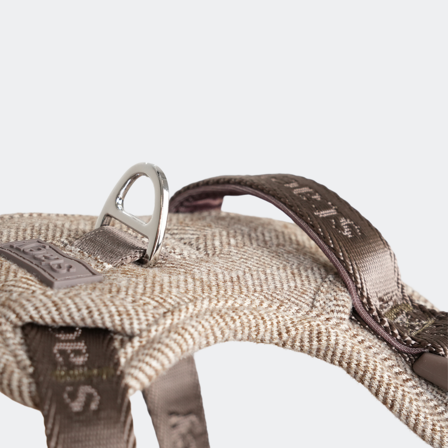 Elma Hundesele | Mocca