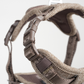 Elma Hundesele | Mocca