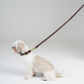 Hundesnor Grace | Espresso