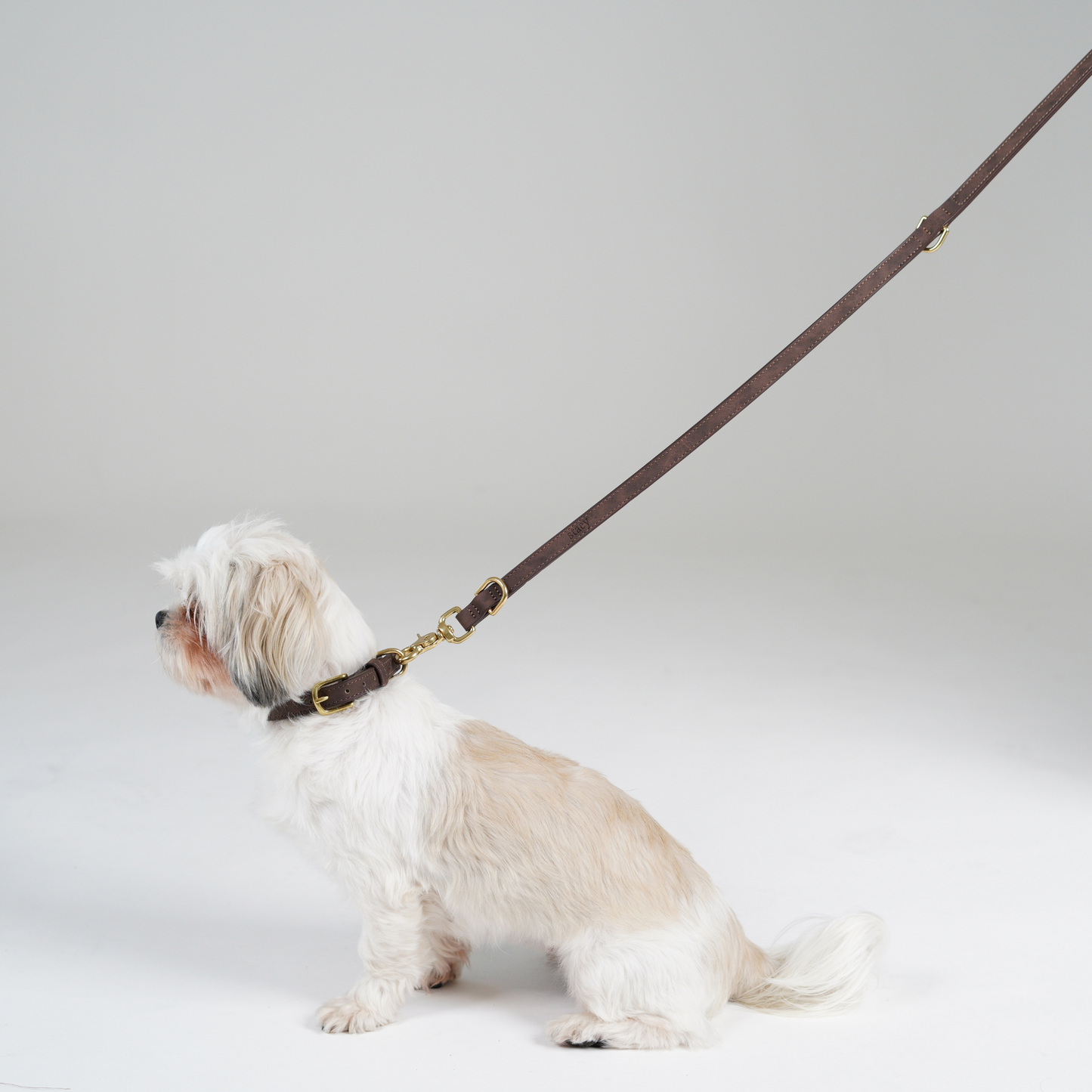 Hundesnor Grace | Espresso
