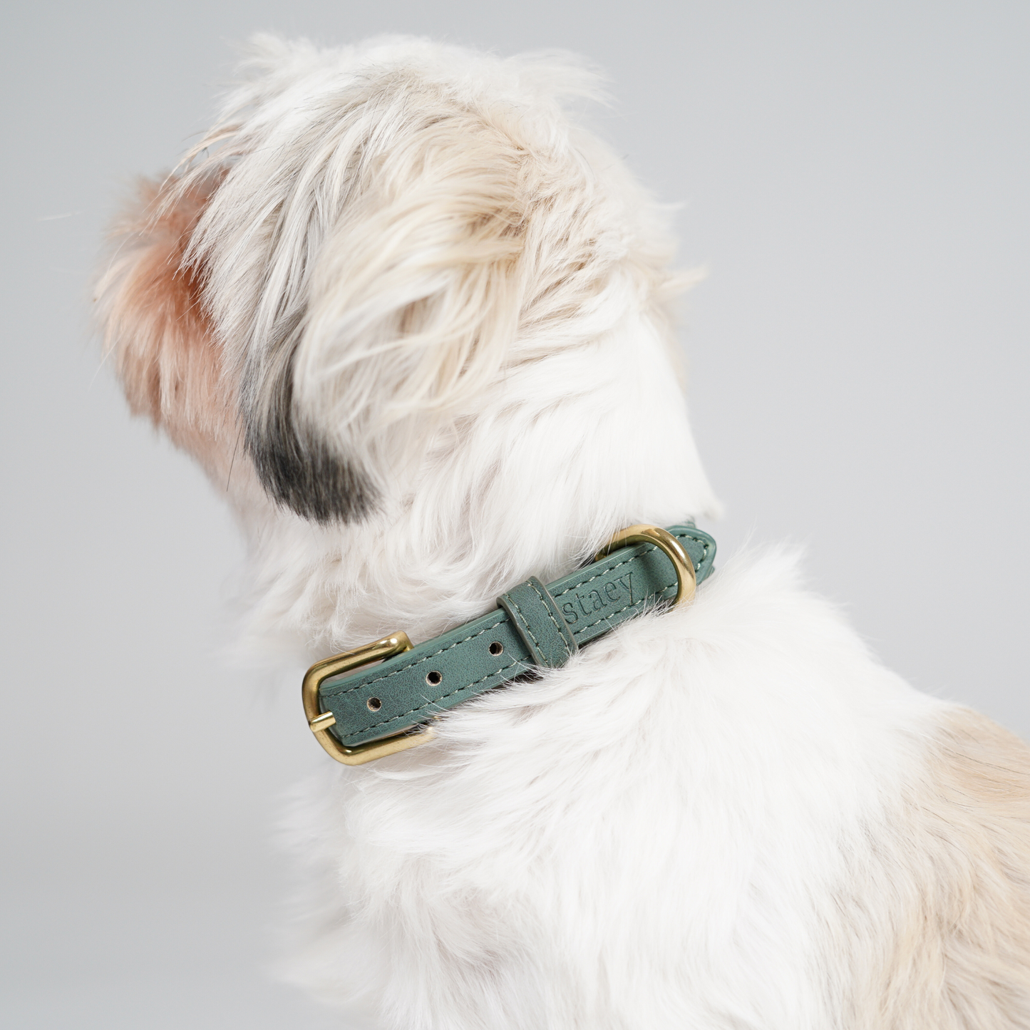 Hundehalsbånd Grace | Moss Green