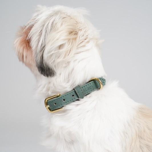 Hundehalsbånd Grace | Moss Green