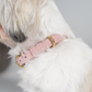 Hundehalsbånd Grace | Dusty Rose