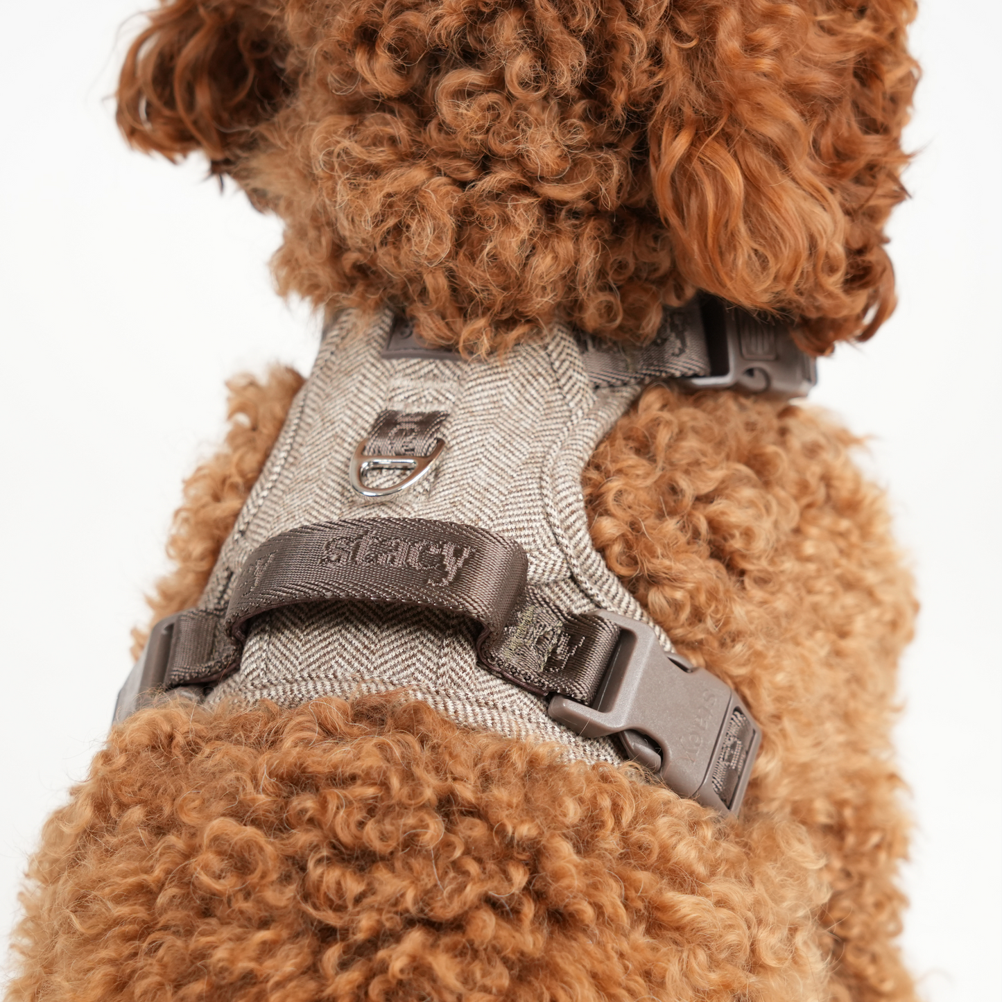 Elma Hundesele | Mocca