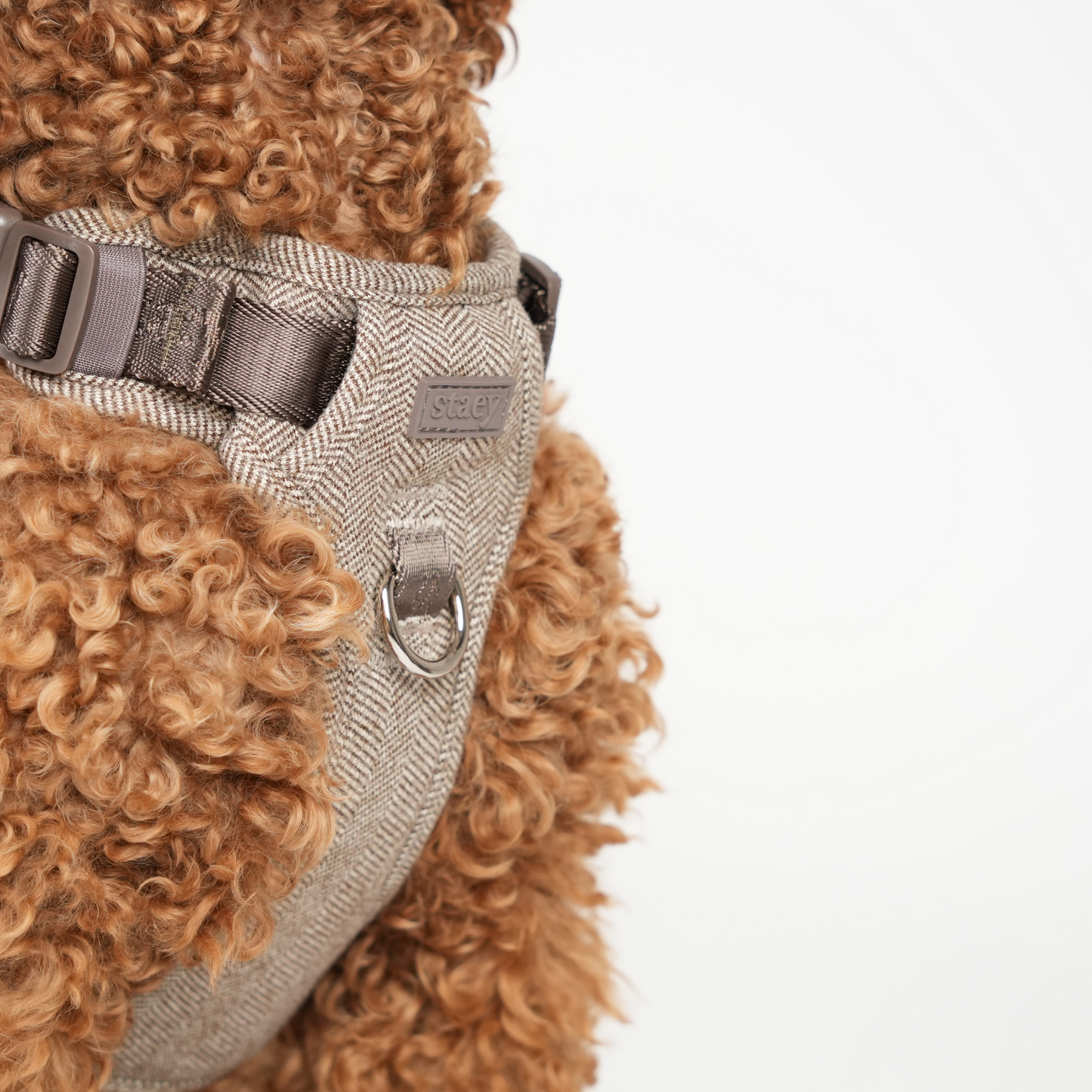 Elma Hundesele | Mocca