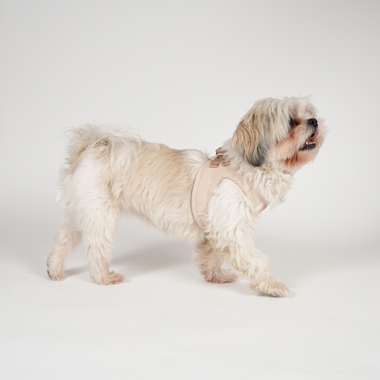 Saga Step-In Hundesele | Light Rose
