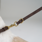 Hundesnor Grace | Espresso