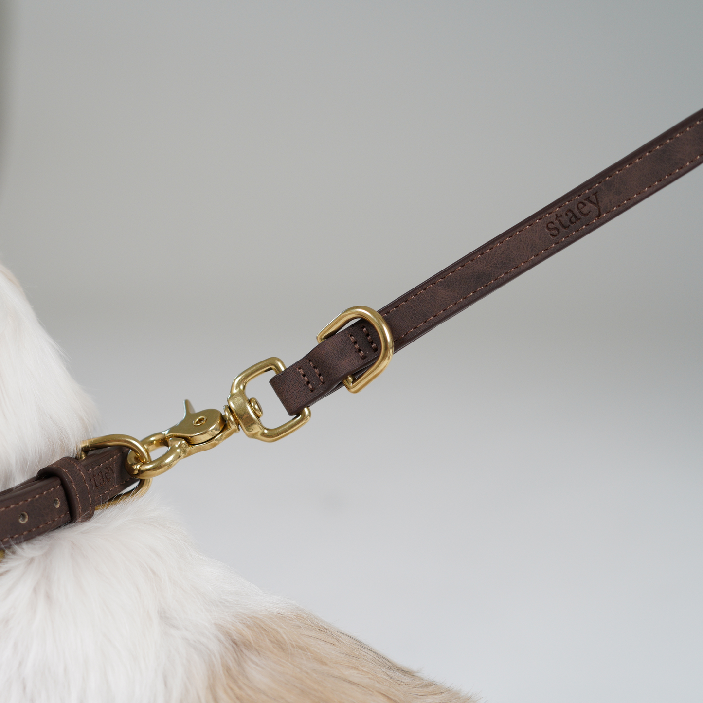 Hundesnor Grace | Espresso