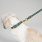Hundehalsbånd Grace | Moss Green