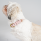 Hundehalsbånd Grace | Dusty Rose