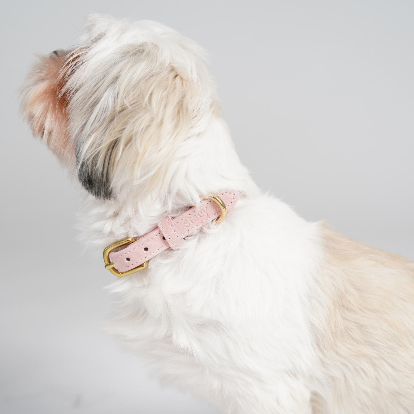 Hundehalsbånd Grace | Dusty Rose