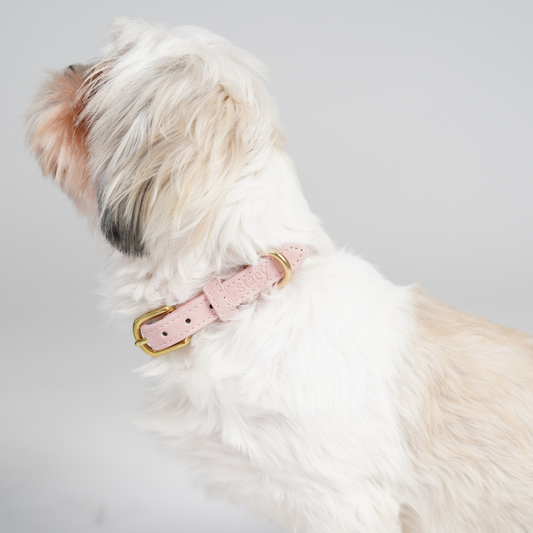 Hundehalsbånd Grace | Dusty Rose