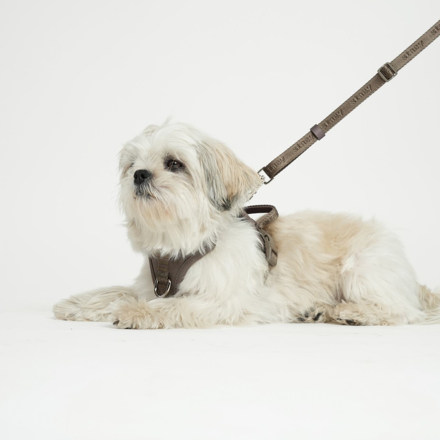 Håndfri Hundesnor, taupe