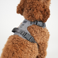 Elma Hundesele | Dusty Blue