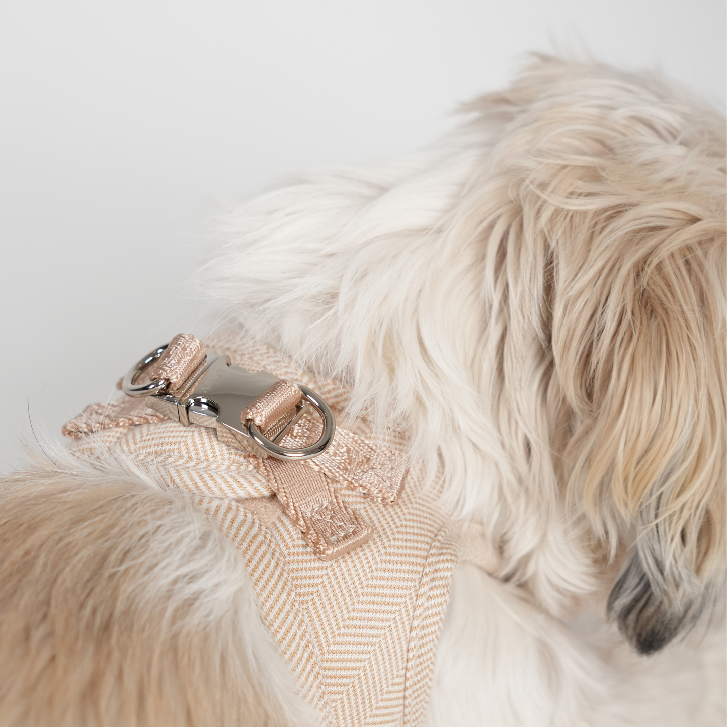 Saga Step-In Hundesele | Light Rose