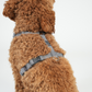 Tara H-Strap Hundesele | Dusty Blue