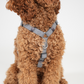 Tara H-Strap Hundesele | Dusty Blue