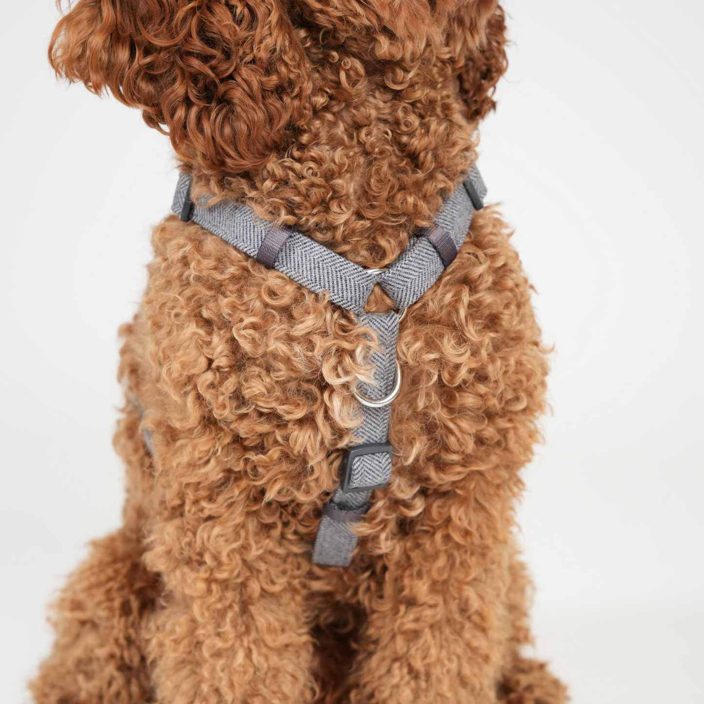 Tara H-Strap Hundesele | Dusty Blue