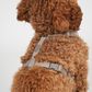 Tara H-Strap Hundesele | Mocca