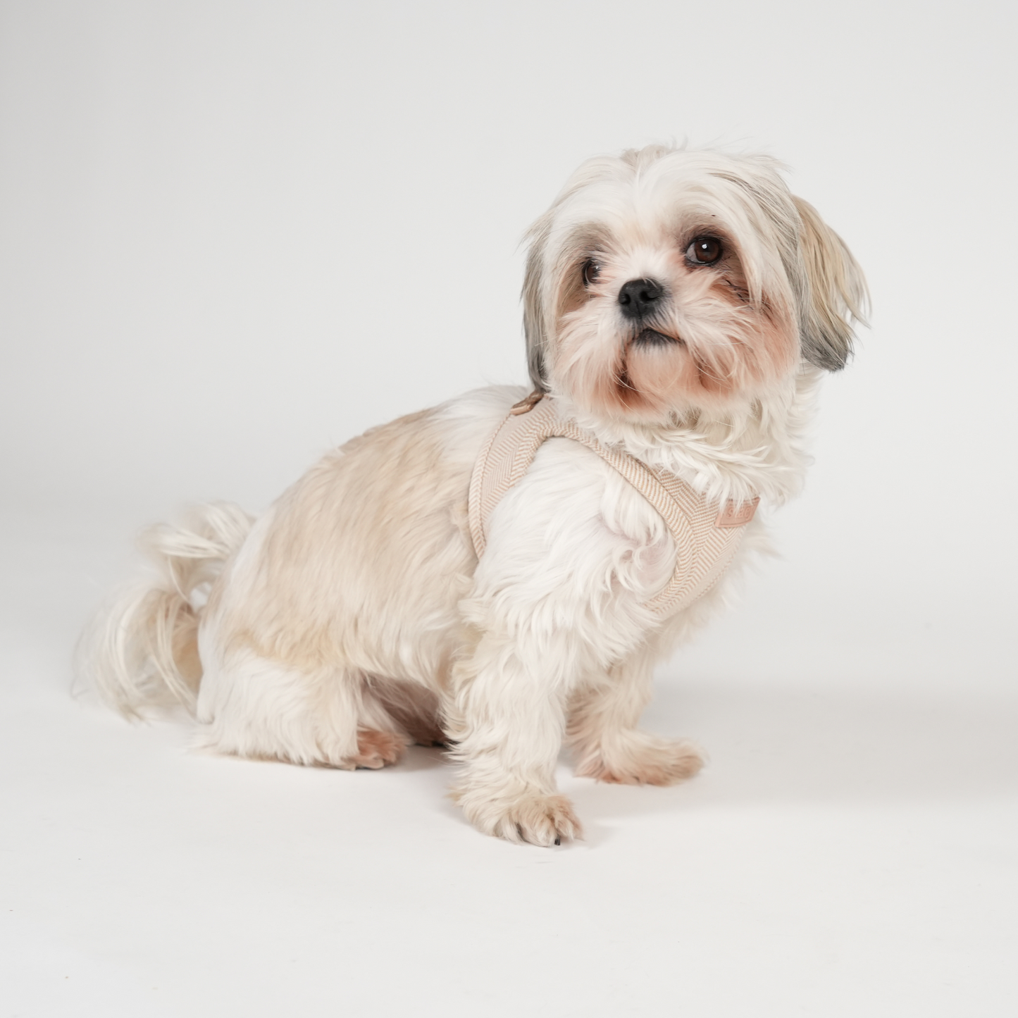 Saga Step-In Hundesele | Light Rose