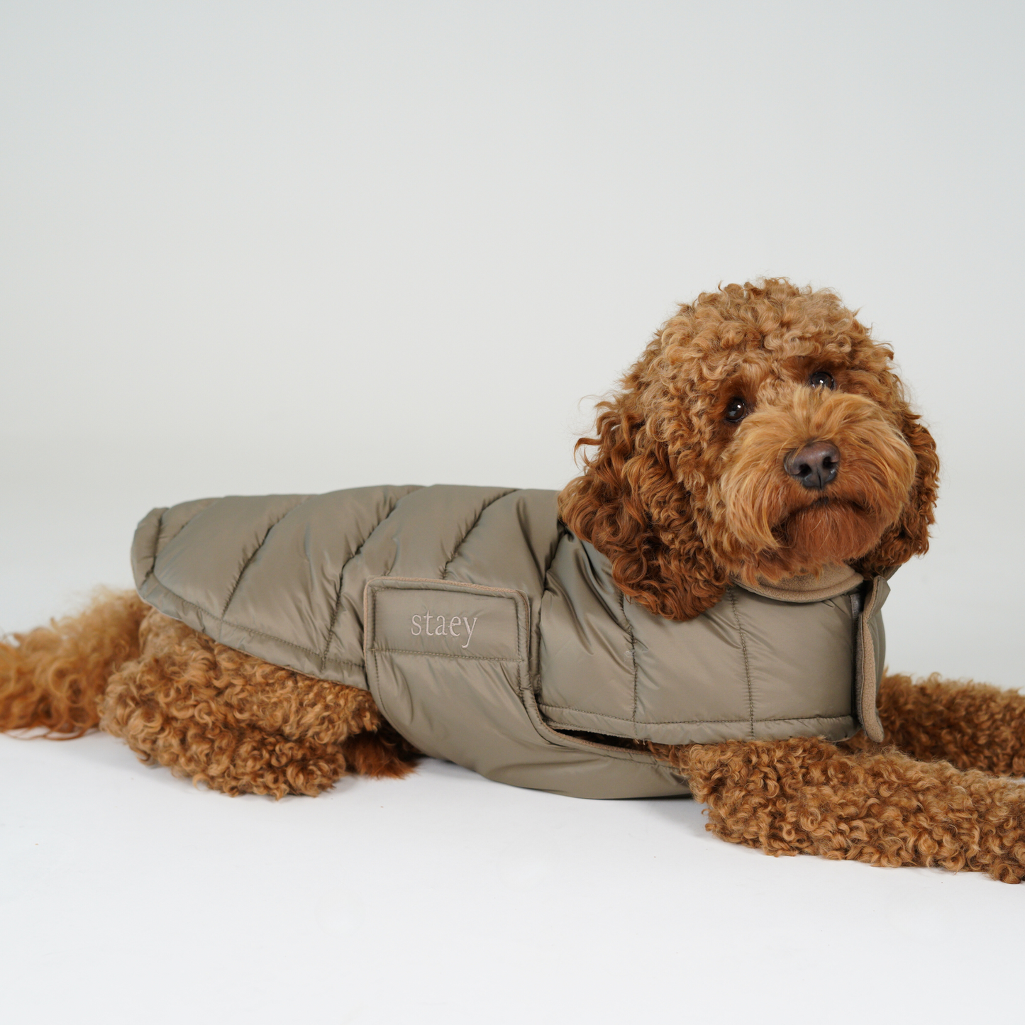 Hundejakke Nora | Taupe
