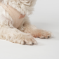 Saga Step-In Hundesele | Light Rose