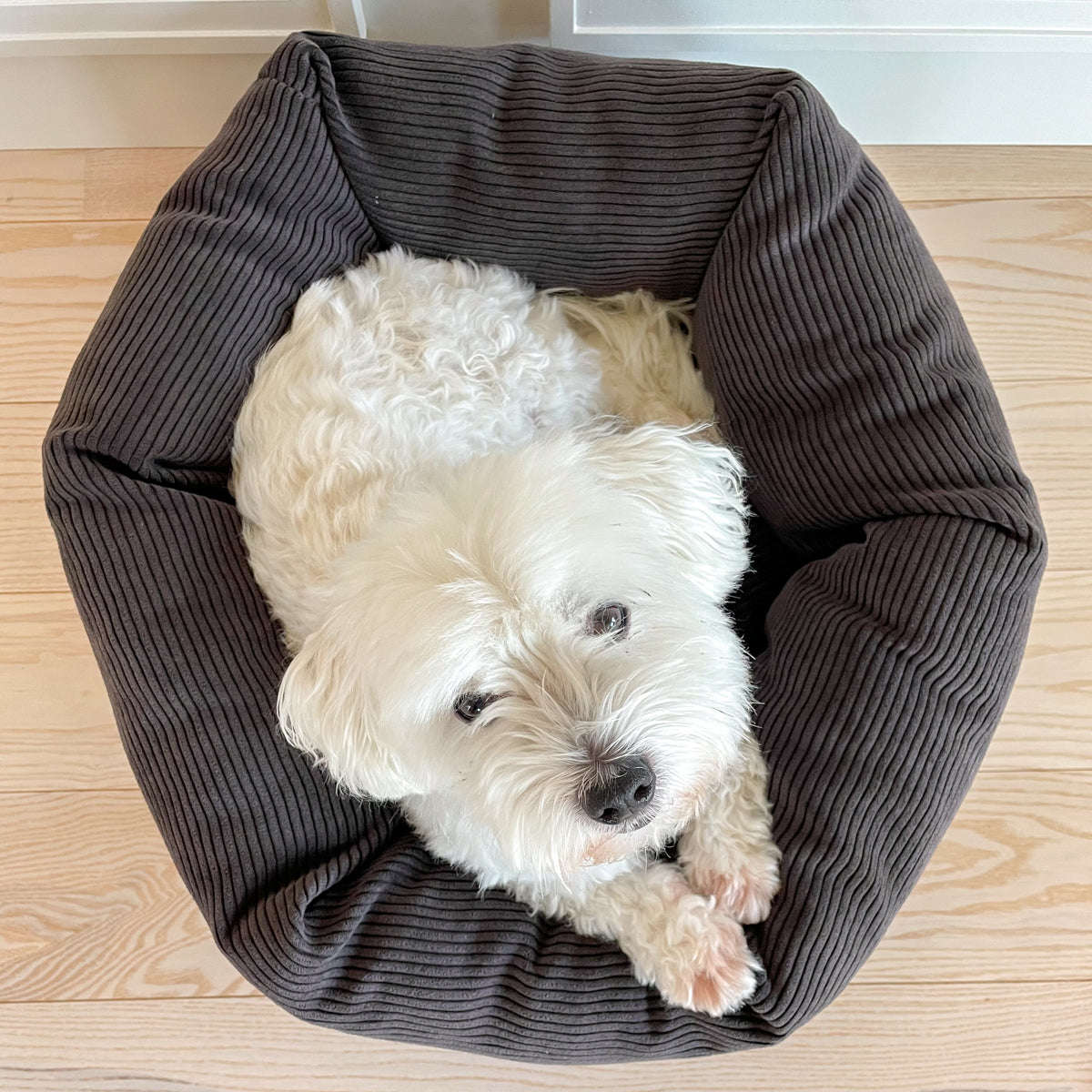 Staey, Hundeseng Luna | Brun