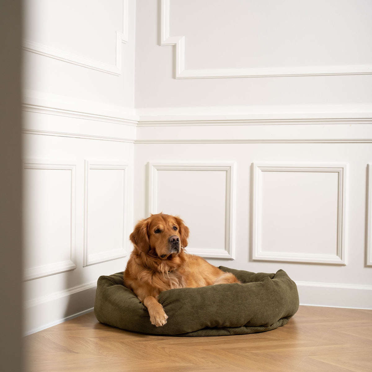 Staey, Hundeseng Luna | Grøn