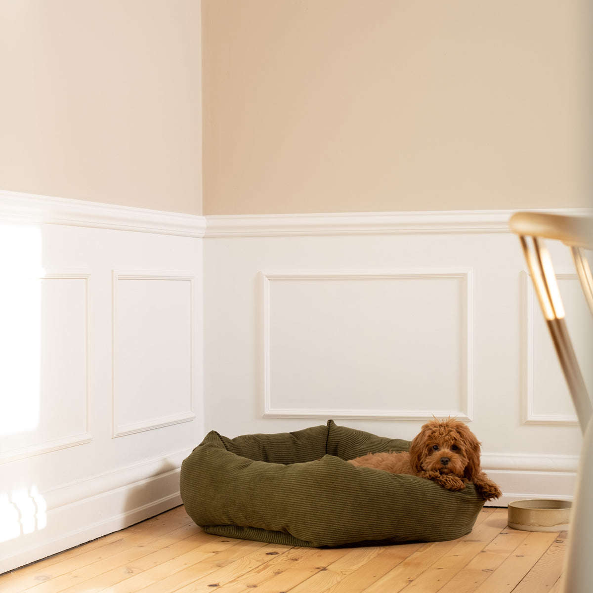 Staey, Hundeseng Luna | Grøn
