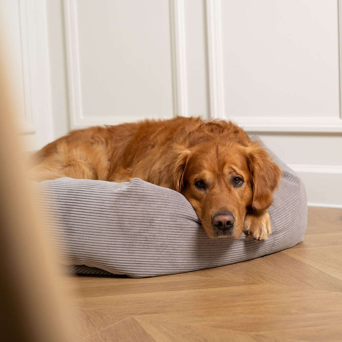 Staey, Hundeseng Luna | Mørkegrå