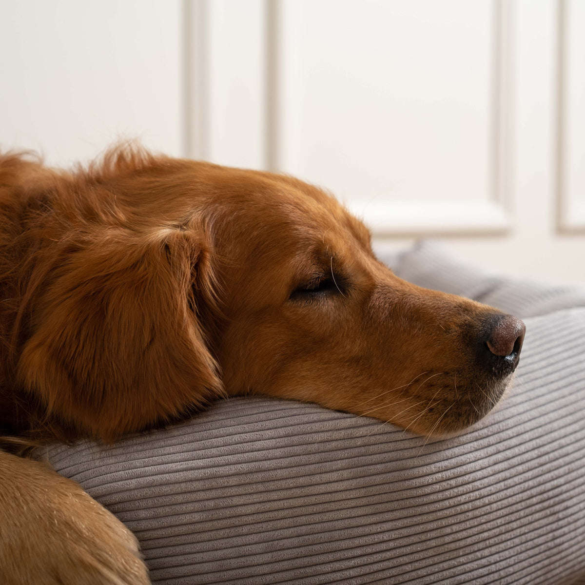 Staey, Hundeseng Luna | Mørkegrå