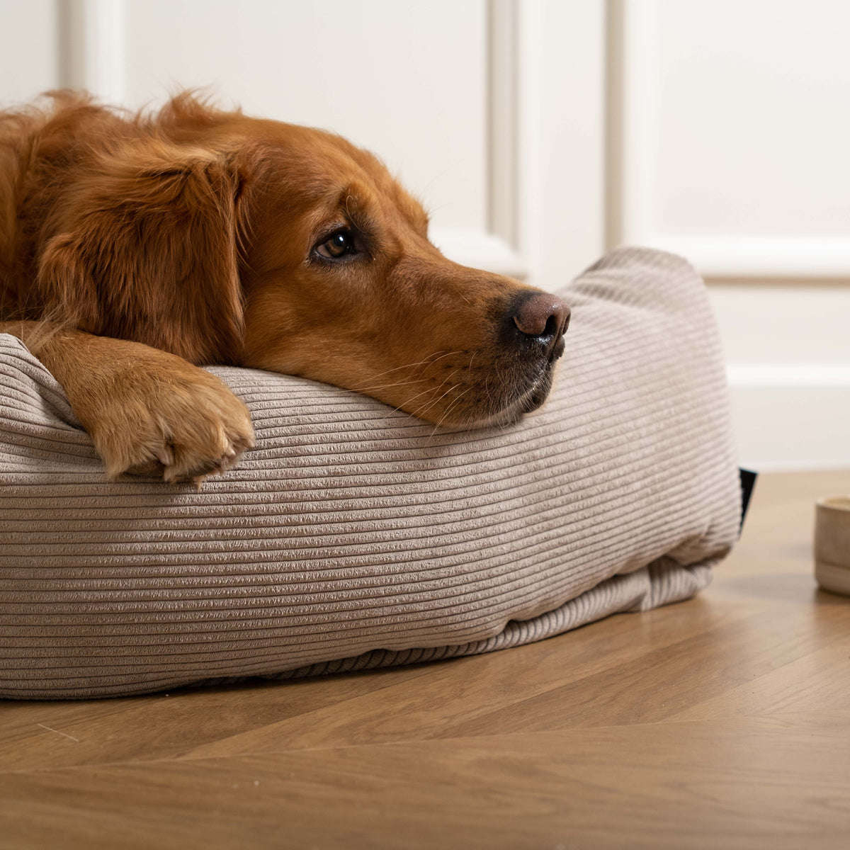 Staey, Hundeseng Luna | Natur