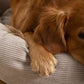 Staey, Hundeseng Luna | Natur